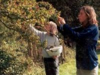 Totnes Festival - Wild Foods